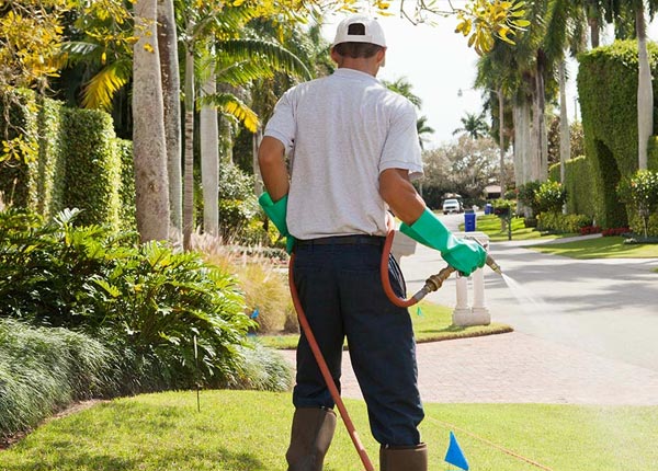 About Shingle Springs CA Pest Control